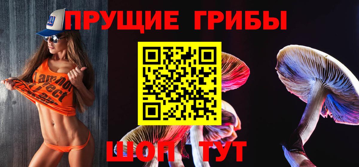 цена наркотик  Псилоцибиновые грибы GOLDEN TEACHER  Вход с VPN  Обь 